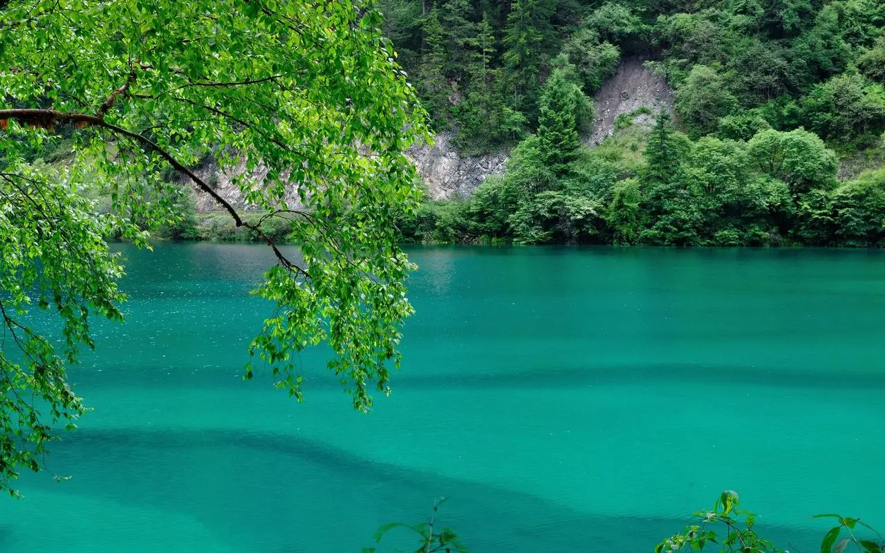 高效高精度